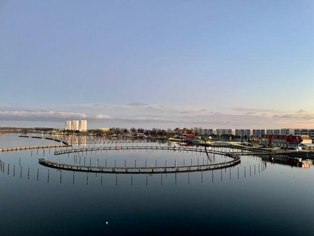 Ferienwohnung derankerplatz-fehmarn Burgtiefe auf Fehmarn Exterior foto